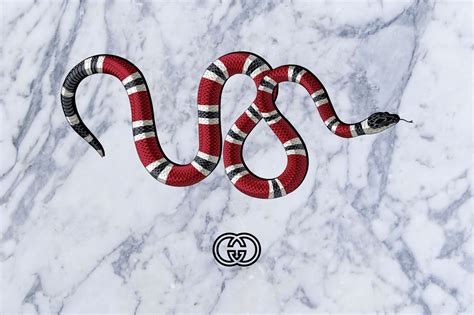 gucci the snake meaning